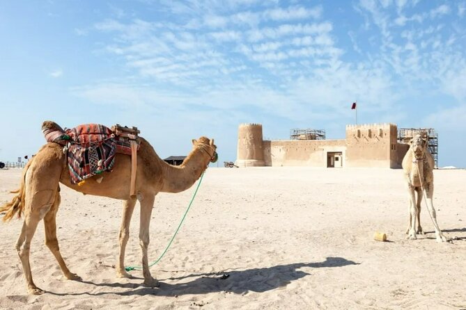 North of Qatar Tour to Olafur Eliasson Zubara Fort Jumail Village - Stop 2: Al Jumail, Pearling and Fishing Village (Free)