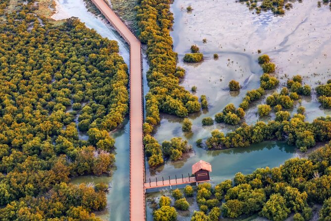 North of Qatar Tour, Zubara Fort, Mangroves, Jumail Village - Purple Island: mangroves, walking, and a kayak chance