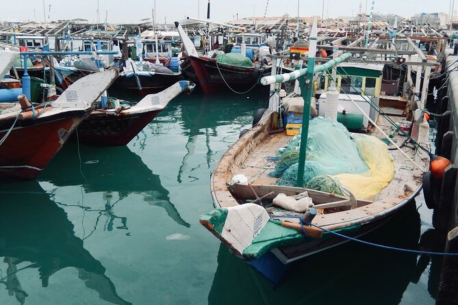 North Qatar Guided Expedition to Nature Charms - Key highlights worth knowing before you go