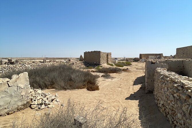 North Qatar Guided Expedition to Nature Charms - Stop 1 in Al Khor: the old harbor and wooden fishing boats