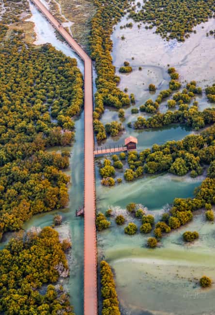 North Qatar: Zubara Fort, Jumail Village, Thakhira Mangroves - Who this tour fits best, and who might prefer a different style