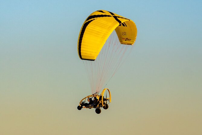 Paratrike Air Tour Doha - Rating 4.8 and the pattern behind the praise