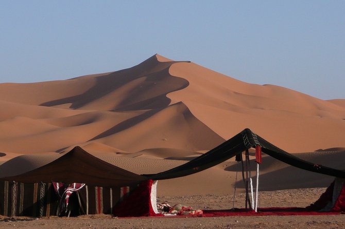 Premium Full-Day Safari, Dune Bash, Camel Ride and BBQ Meal in Desert Camp - Key Things to Know Before You Go