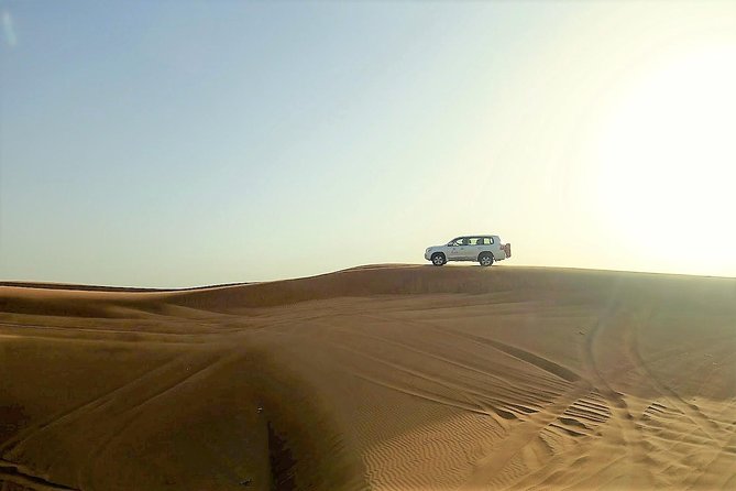 Premium Full-Day Safari, Dune Bash, Camel Ride and BBQ Meal in Desert Camp - Pickup, Timing, and Group Size: How to Avoid Feeling Rushed