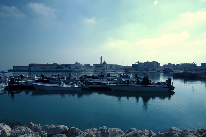 Private Combo North and West of Qatar Tour 8hours - Purple Island Mangroves: A Calmer Hour in Nature