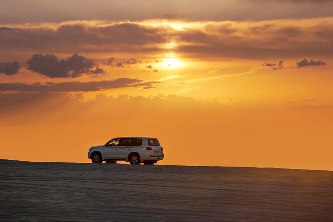 Private Desert Safari Fast Track - Sealing the Deal at Sealine Beach: Dune Bashing, Camels, and Falcon Photos