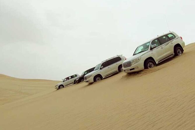Private Desert Safari, Sand Dunes Bashing and Inland Sea Visit - Sealine Beach Camel Base Camp: Short Ride, Big Atmosphere