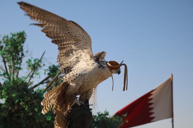 Private Desert Safari Tour 4 hours - How a 4-hour private safari feels in Doha