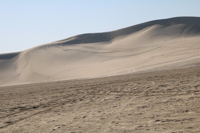 Private Desert Safari Tour 4 hours - Pickup, meeting point, and the flow of time