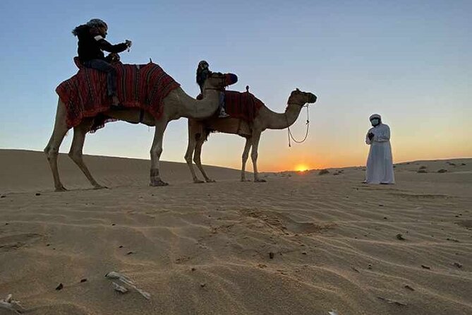 Private Doha City & Desert Safari Combo – Full-Day Adventure - Doha Corniche and Pearl Island: your fast skyline orientation
