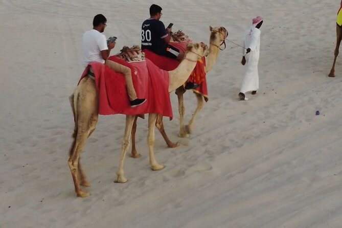 Private-Doha Horse Ride/Camel Ride/Quad Bike All Inclusive Tour - Key Highlights You Should Know Before You Go