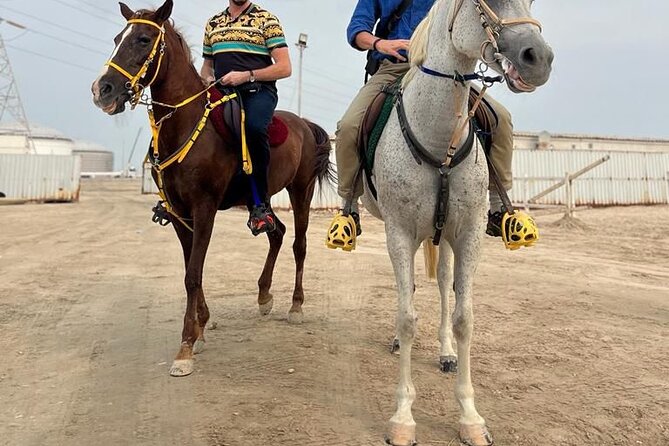 Private-Doha Horse Ride/Camel Ride/Quad Bike All Inclusive Tour - Pickup, Timing, and the Real Meaning of 4 to 5 Hours