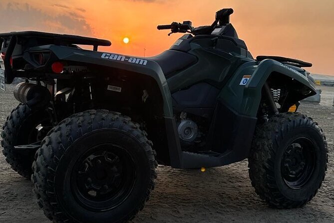 Private-Doha Horse Ride/Camel Ride/Quad Bike All Inclusive Tour - Price and Value: What $175 Per Person Actually Buys