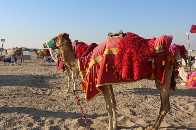 Private Dunes Bashing | Desert Safari | Sand Boarding - Key Points You’ll Actually Care About