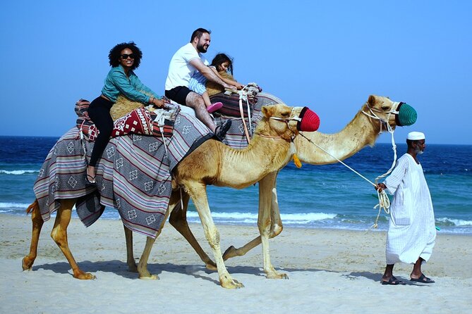 Private Full Day Desert Safari - Al Rahal Resort Stop: A Breather Before the Main Area