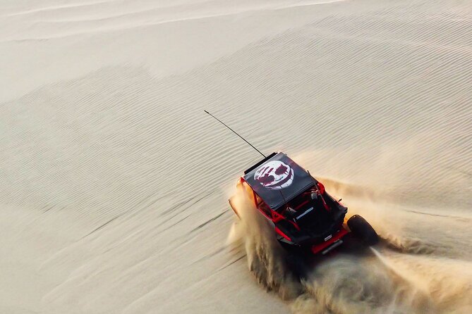 Private Full Day Desert Safari Dinner and Camel Ride in Doha - Key Highlights You’ll Feel Fast