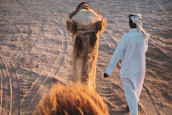 Private Full Day Desert Safari Dinner and Camel Ride in Doha - Bedouin Camp Dinner and Arabic Coffee, the Part With Meaning