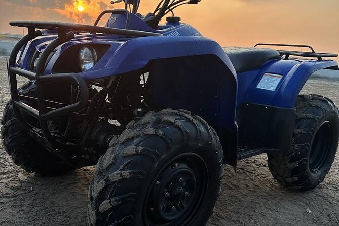 Private Full Day Desert Safari Dinner and Camel Ride in Doha - Photos, Golden Hour Timing, and Where the Stops Matter