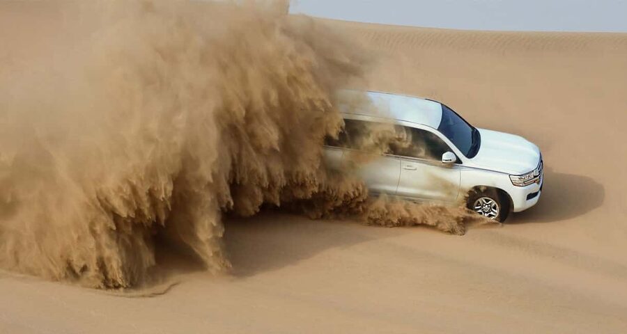 Private Full-Day Desert Tour - Key Things to Know Before You Go