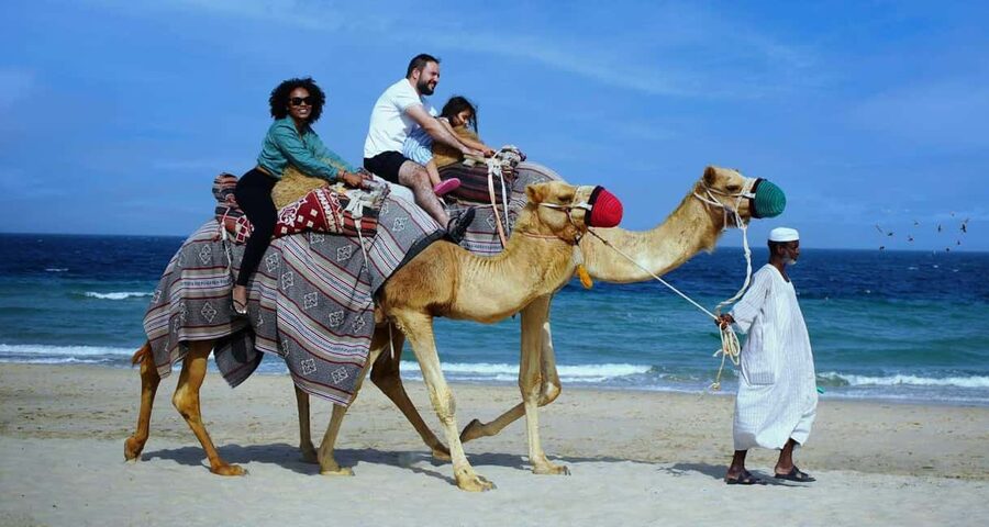 Private Full-Day Desert Tour - Sealine and the Route Energy Before You Reach the Inland Sea