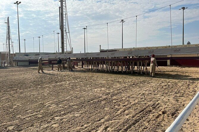 Private Full Day Guided Tour in Qatar North and West - Stop by Stop: Al Khor and the Pearl Diving Legacy