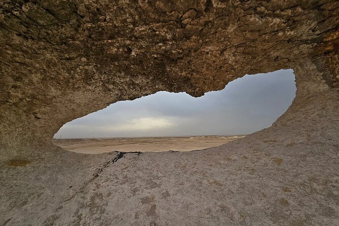Private Full Day Guided Tour in Qatar North and West - Mangroves at Al Thakhira and Purple Island Walkways