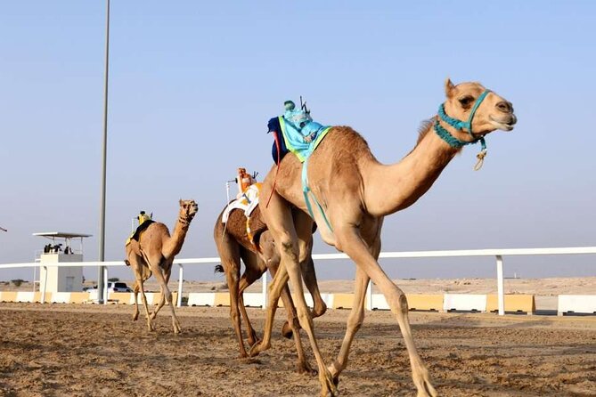 Private Full Day Guided Tour in Qatar North and West - Zekreet Fort Ruins, Umbrella Rock Views, and Serra Art in the Desert