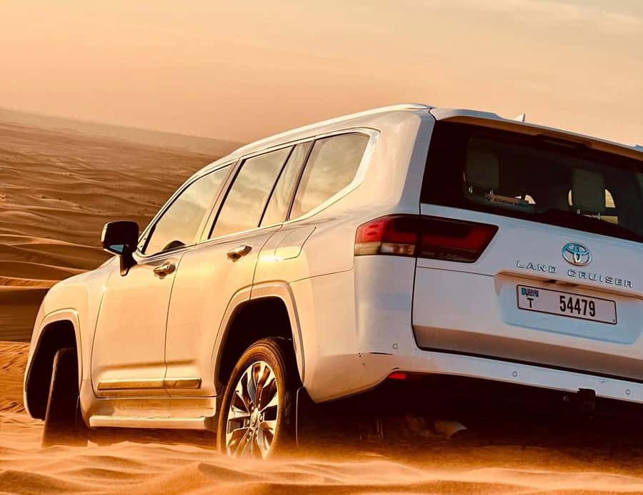 Private Gentle Sands Desert Experience Without Dune Bashing - What Makes This Doha Desert Safari Worth Your Time