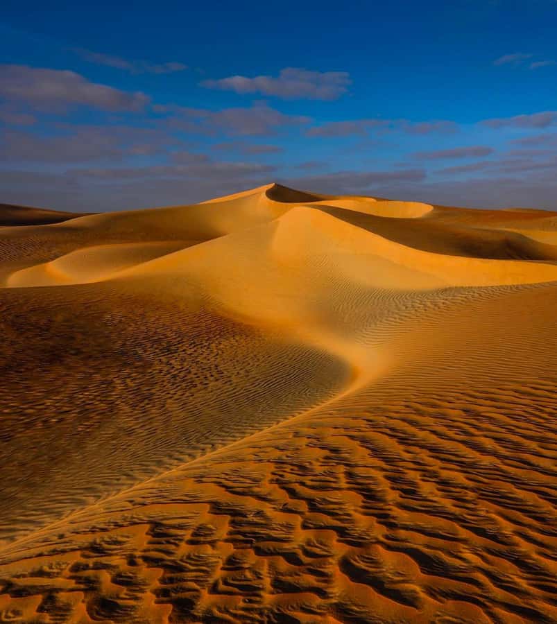 Private Gentle Sands Desert Experience Without Dune Bashing - Falconry at the Desert Pace: Watch and Learn Without the Rush