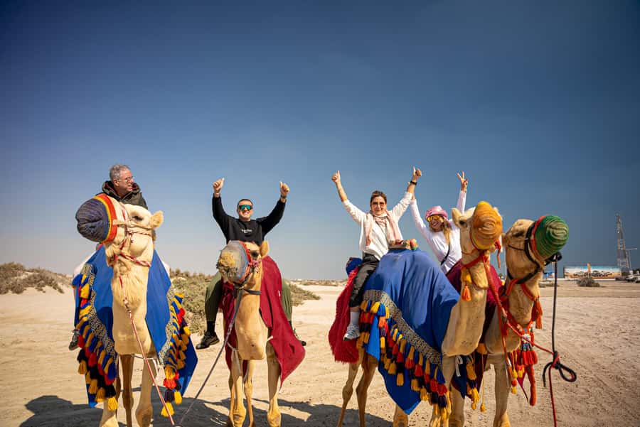 Private Half-Day Desert Safari Tour+Camel Ride - From Doha pickup to Sealine Beach, what a private safari really buys you