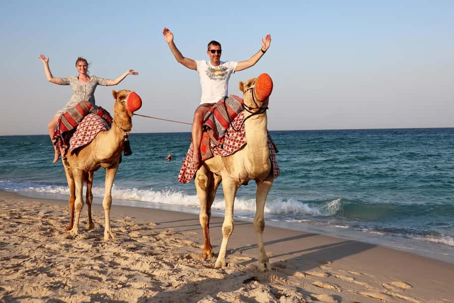 Private Half-Day Desert Safari Tour+Camel Ride - Price and value: what $203 per person really covers