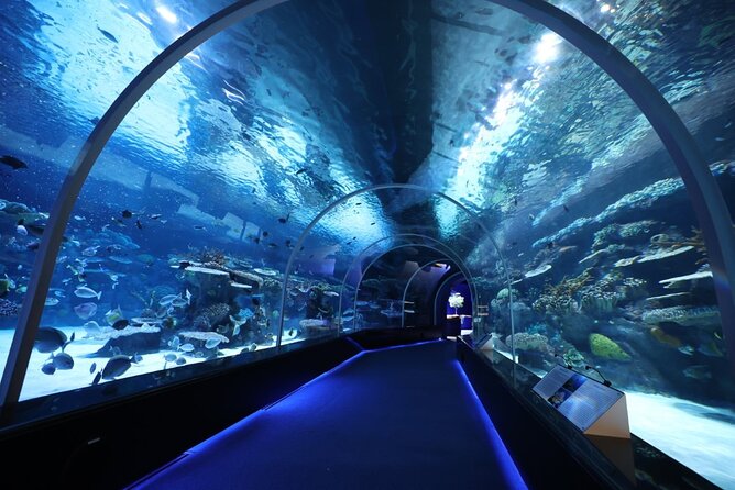 Private Hamad Port Tour in Mesaieed |Aquarium |Maritime Museum - Key points to know before you go