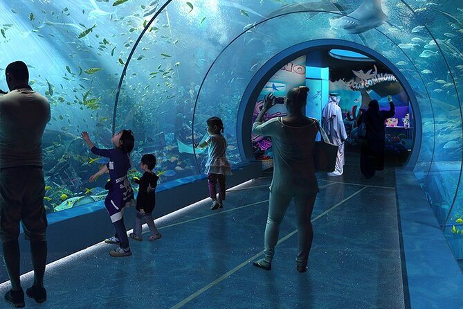 Private Hamad Port Tour in Mesaieed |Aquarium |Maritime Museum - From Your Doha Pickup to the Hamad Port Complex