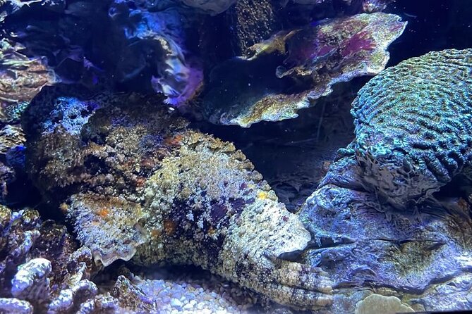Private Hamad Port Tour in Mesaieed |Aquarium |Maritime Museum - FAQ