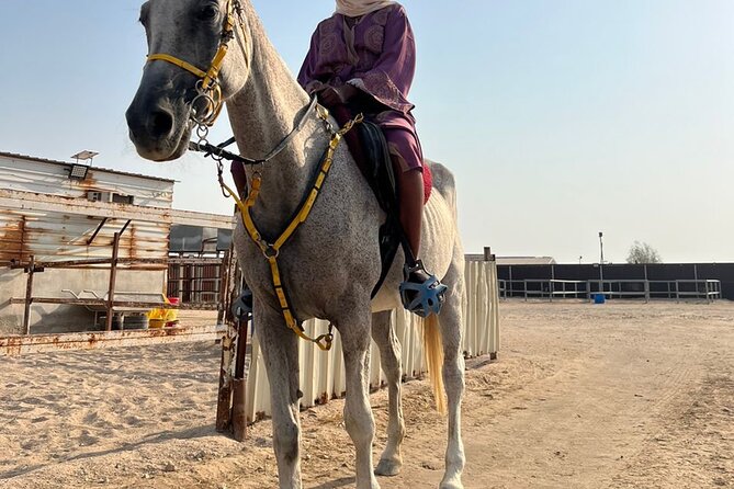 Private Horse and Camel Riding Experience in Doha - Getting picked up in Doha, the real timeline you should expect