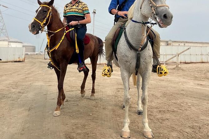 Private Horse and Camel Riding Experience in Doha - The guides and the human touch, why Nasser stood out