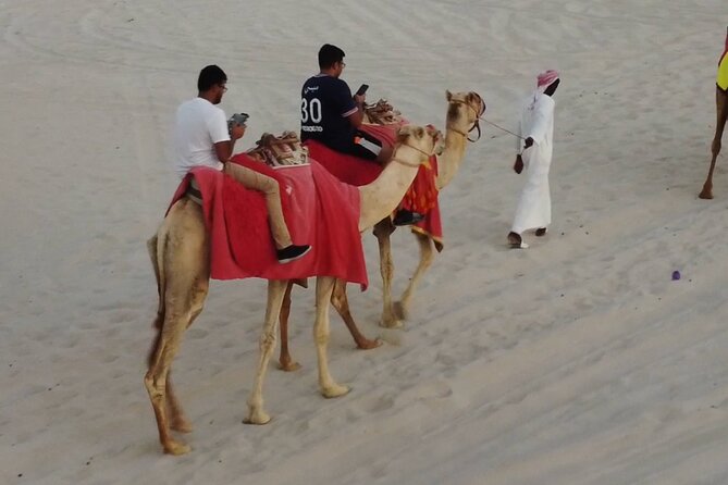 Private Horseback Riding Experience in Doha - What to wear and how to prepare for desert horseback riding