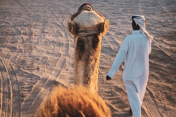 Private Horseback Riding Experience in Doha - Private tour value: what $140 per person is really buying
