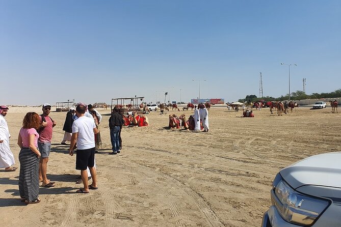 (Private) Quickie to the Desert | Sandboarding | Inland Sea - Price and value: what you get for $124