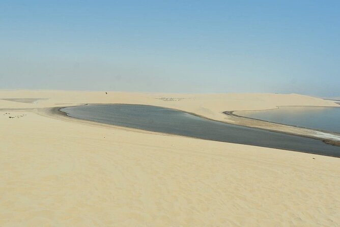 Private Sealine Beach Tour with Desert Activities - Camel riding and the calmer tempo
