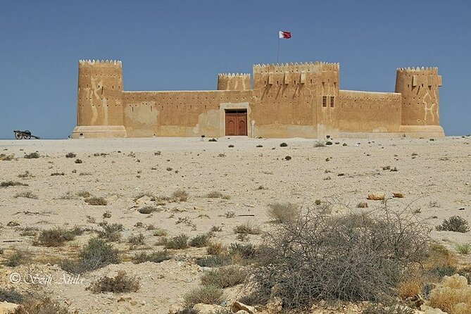 Private Tour in Northern Qatar - Purple Island: mangroves, birds, and why the ecology matters