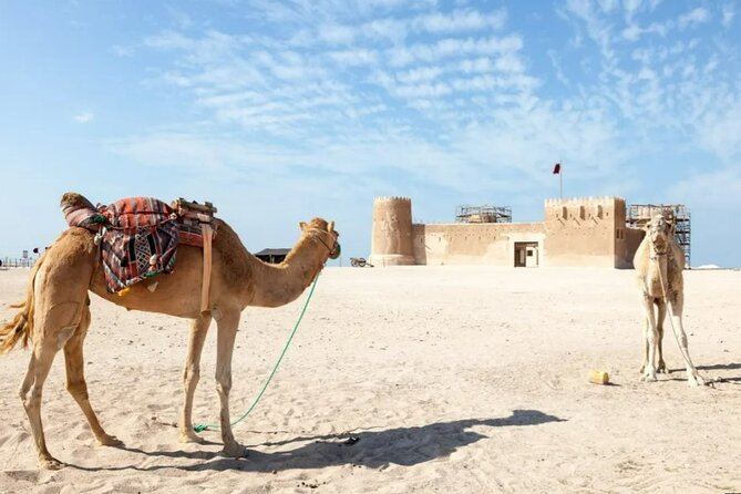 Private Tour in Northern Qatar - How long it lasts, and why that timing works