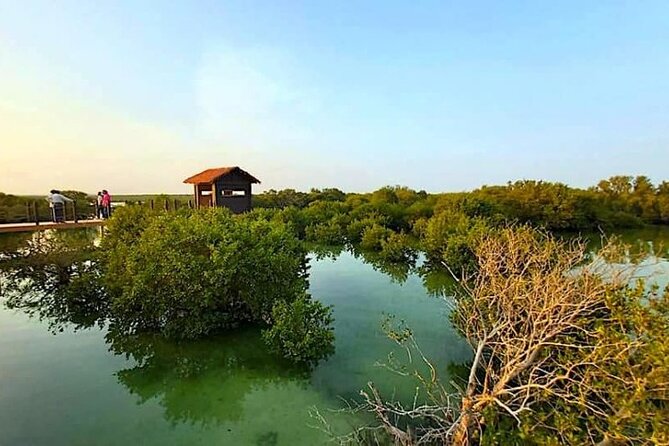 Private Tour in Northern Qatar - Who this private northern Qatar tour suits best