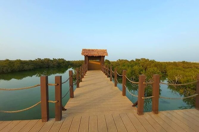 Private Tour in Northern Qatar - Doha pickup, then straight to Al Khor’s sea rhythm
