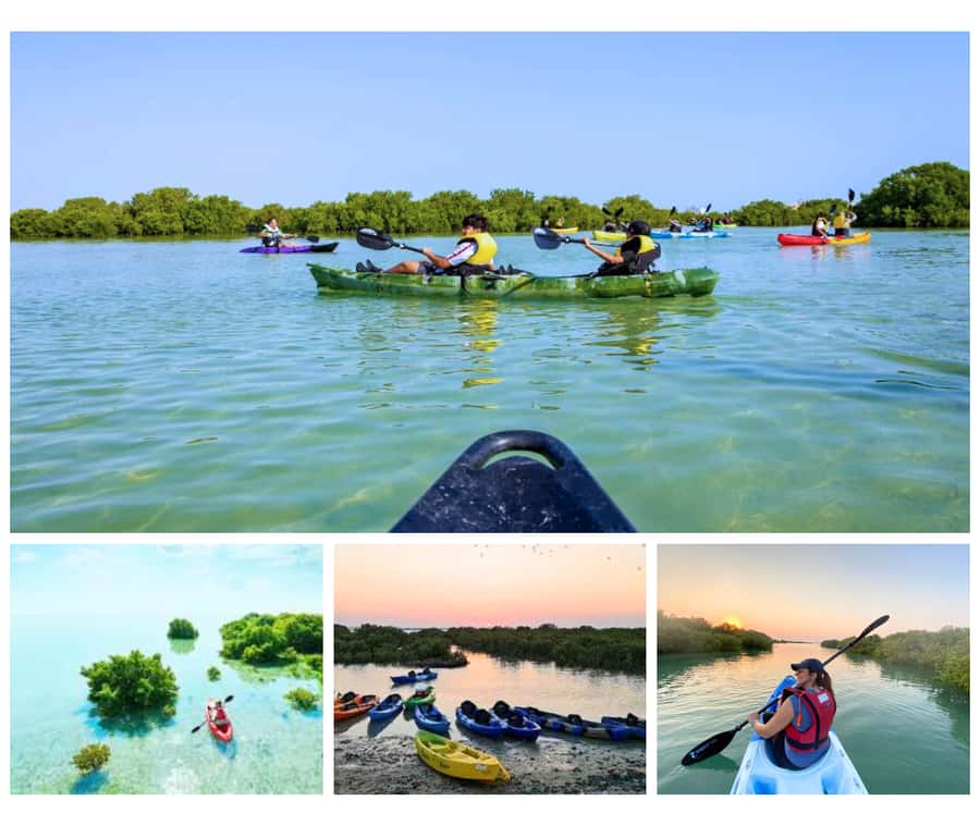 Qatar: Al Thakira Mangrove Forest Kayaking Tour - Qatar Mangroves, Without the City Noise