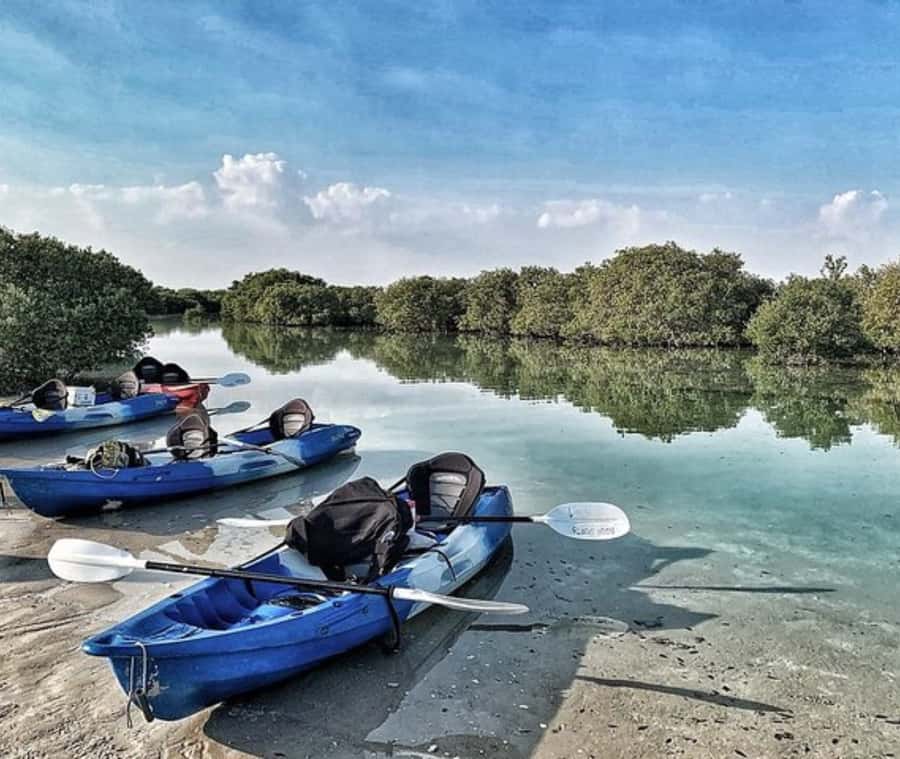 Qatar: Al Thakira Mangrove Forest Kayaking Tour - Getting There From Doha: Drive Time Matters
