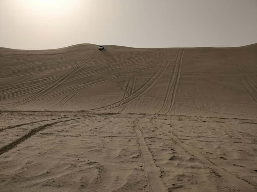 Qatar: Desert Safari, Camel Ride, Inland sea, Sandboarding - Time, route flow, and what it means for your day