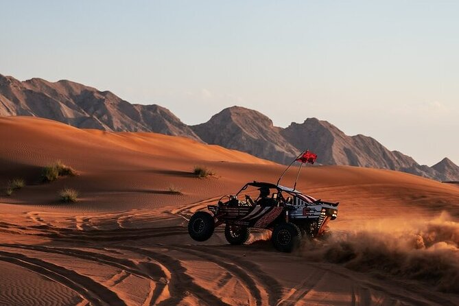 Qatar Desert Thrills Self Ride Dune Buggy Safari and Camel Ride - Who Should Book This (and Who Might Want a Different Desert Plan)