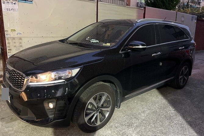 Qatar Doha Hamad Airport (DOH) to Doha - Arrival Private Transfer - What to Do With Extra Time Inside DOH Before Pickup