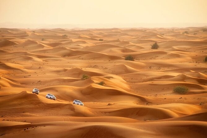 Qatar Dune Buggy Private Experience - Breaks, refreshments, and not turning it into a suffer-fest